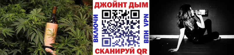 Купить закладки  Кировск  Cannafood конопля 