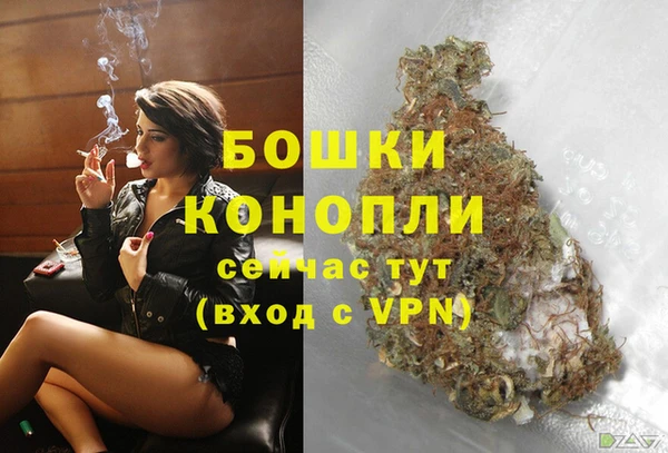 первитин Горнозаводск