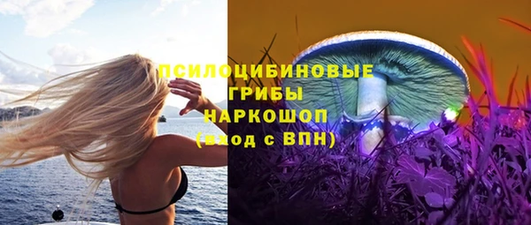 первитин Горнозаводск